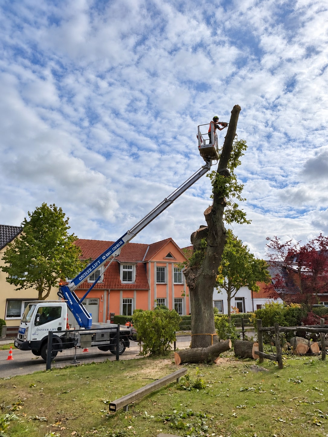 Baumpflege mit Hubarbeitsbühne